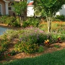 thumbnail for publication: Perceptions of Florida-Friendly Landscapes: Linking Visual Quality and Environmental Health through Landscape Codes